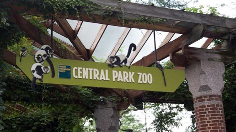 central park zoo cost admission